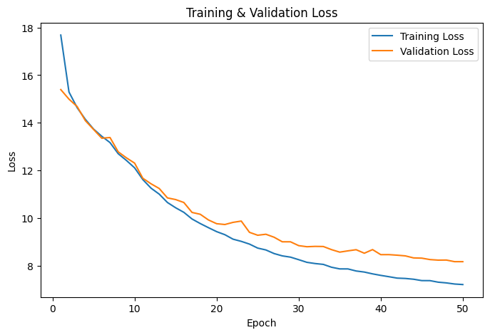 Training and validation L1 loss over fifty epochs
